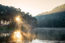 Viewpoint Sunlight Shine Pine Forest On Foggy Reservoir In Morni