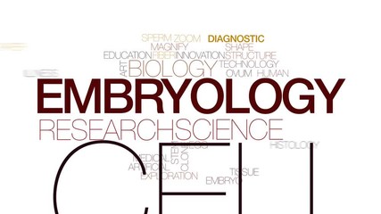 Sticker - Embryology animated word cloud. Kinetic typography.