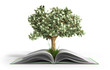 tree growing from book A big open book with coins and tree Readi