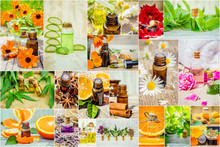 Collage Of Herbs And Essential Oil.  
