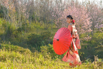 Asian woman wearing traditional japanese kimono,Japan sakura ,Japan kimono