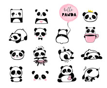 Cute Panda Bear Illustrations, Collection Of Vector Hand Drawn Elements, Black And White Icons