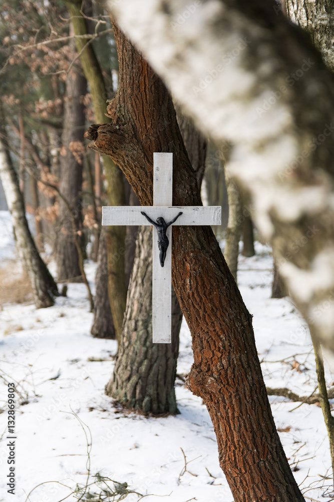 Obraz na płótnie Krzyż na drzewie w lesie zimą w salonie