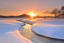 朝陽の雪原