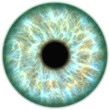Illustration of a green human iris. Digital artwork creative graphic design.