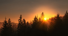 Sunrise Over Forest At Carpathian Mounthains. Ukraine.