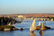 Feluken auf dem Nil bei Assuan