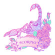 Zodiac sign Scorpio. Detailed realistic scorpio in a decorative frame of roses. Vector drawing isolated on white background. Concept art for tattoo design, horoscope, coloring book for adults page.