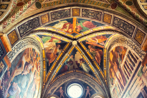 Fotografie, Obraz Fresco of church Santa Maria delle Grazie