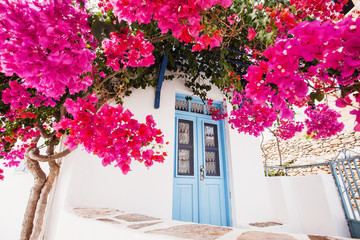 Traditional greek house with flowers in Paros island, Greece