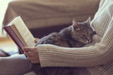 Fototapeta Koty - Leisure time with a cat