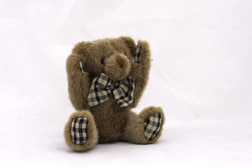 soft toy teddy bear on white background.