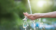 Water Pouring In Woman Hand On Nature Background, Environment Concept