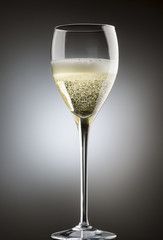 Wall Mural - Glass with champagne isolated on background