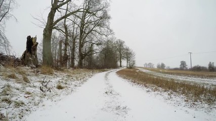 Wall Mural - falling Snow on a country road with trees and agricultural fields in germany