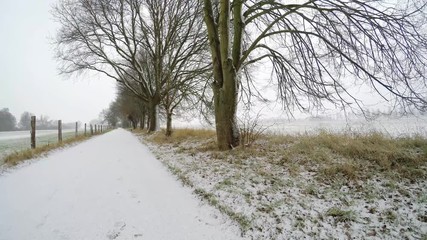 Wall Mural - falling Snow on a country road with trees and agricultural fields in germany