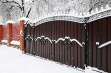 Forged Iron Gate Covered With Snow