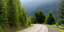 Scenic Drive Through Mount Rainier National Park