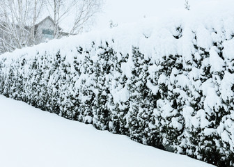 A view of SE Portland Oregon in Historic Snow storm in 2017