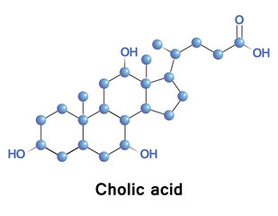 Poster - Cholic acid, along with chenodiol, is one of the two major bile acids produced by the liver, where it is synthesized from cholesterol.