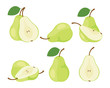 Pears. Cut green pear fruits. Collection of vector illustrations