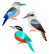 Stylized Birds - Kookaburra