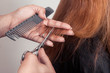 © shervyd - hairdresser cuts  brown-haired person hair holding a hairbrush