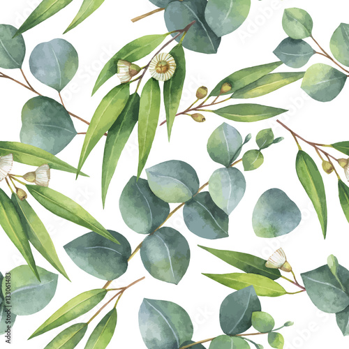 Foto-Schiebegardine Komplettsystem - Watercolor vector seamless pattern with eucalyptus leaves and branches. (von elenamedvedeva)
