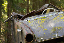 Crashed Car In Forest