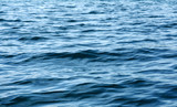 Fototapeta  - Blue Tones Water Waves Surface as Background