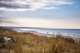 Fototapeta Paryż - A beautiful landscape of dunes on the coastline of Baltic sea
