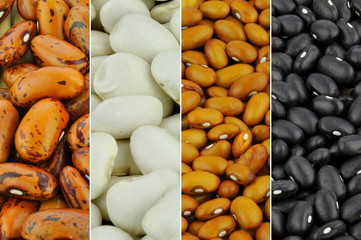 Wall Mural - Beans - collection of different varieties