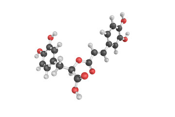 Wall Mural - 3d structure of Rosmarinic acid, a chemical compound found in a