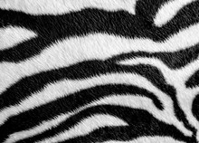 Zebra Skin Pattern Leatherette Fabric