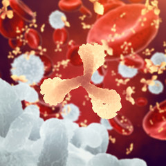 Wall Mural - Antibodies and white and red blood cells , Immunoglobulin and plasma cells , Infectious disease , Immune system