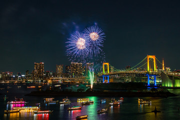 Wall Mural - Fireworks and Tokyo skyline