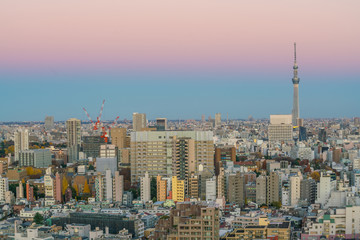 Downtown Tokyo skyline