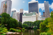 Central Park, New York City Near The Plaza Hotel