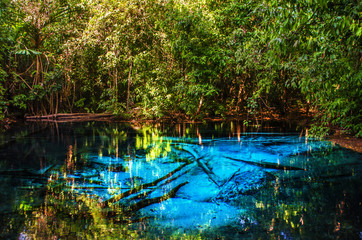 Canvas Print - Blue or emerald pool in National park Sa Morakot, Krabi, Thailand. Fantastic blue lake in the middle of the rainforest.