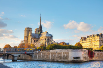 Wall Mural - Notre Dame de Paris cathedral