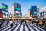 Fototapeta  - Menschen beim Shibuya Crossing in Tokyo Japan