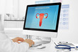 © Africa Studio - Gynecology consultation. Doctor working on computer