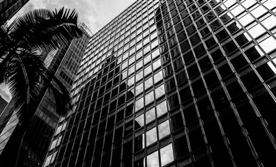 Office buildings stretch up to the sky with B&W color