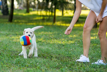 girl playing with her puppy in the park in spring