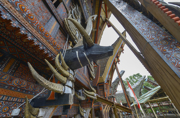 Wall Mural - Tongkonans, casas tradicionales en Tana Toraja, Sulawesi, Indonesia