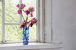 Flower in blue  vase on windowsill
