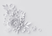 3d Render, Digital Illustration, White Paper Flowers, Floral Background, Corner Decoration