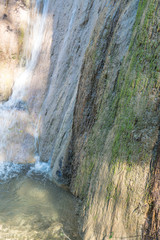 Poster - Water flowing with tree shadow on stone