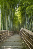 Fototapeta Sypialnia - Bamboo path in Arashiyama, Kyoto, Japan