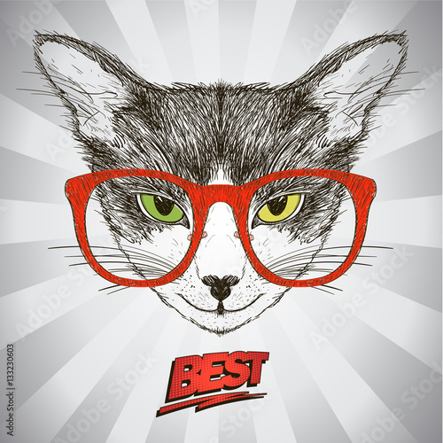 Naklejka na kafelki Graphic poster with hipster cat dressed in red glasses, against pop-art background with rays